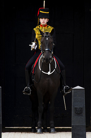 Horseguard