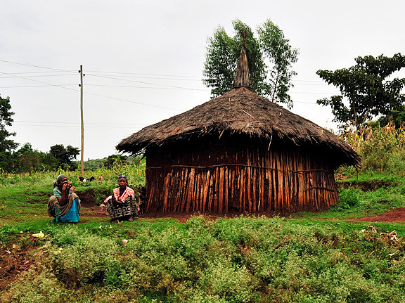 Little Hut
