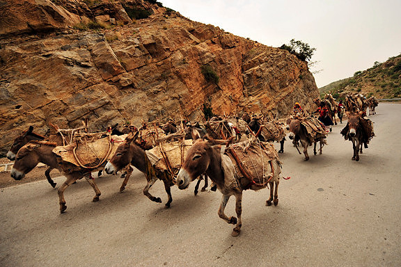 Ethiopian Traffic
